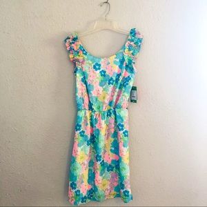 NWT Lilly Pulitzer Danna Dress in Spring Fling